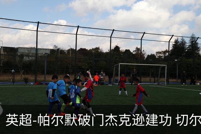 英超-帕尔默破门杰克逊建功 切尔西2-1纽卡斯尔